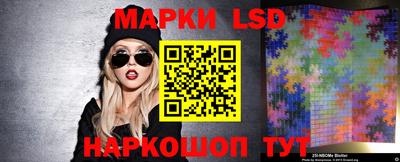 стафф Будённовск