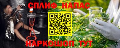 амф Гатчина