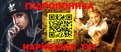 гидра Гай