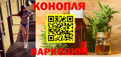гидра Гай