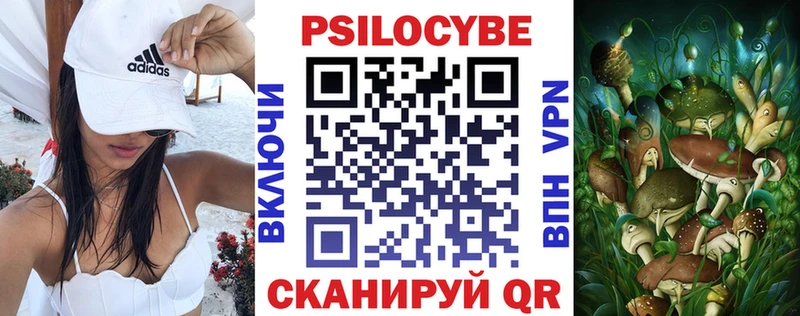 гидра ссылка  Каспийск  Псилоцибиновые грибы MAGIC MUSHROOMS 