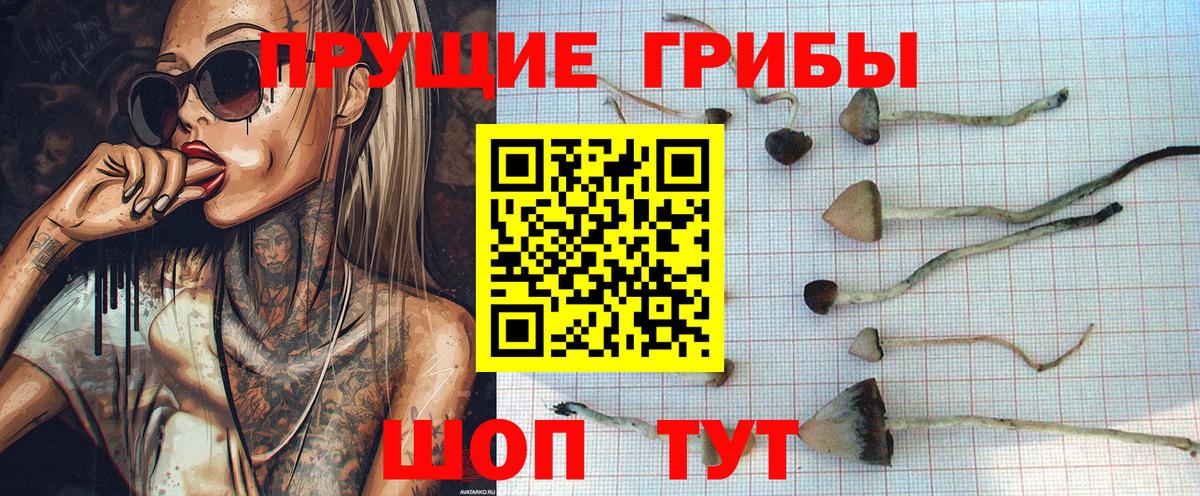 Псилоцибиновые грибы ЛСД Каспийск