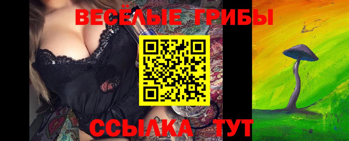 Псилоцибиновые грибы Psilocybine cubensis  Каспийск  Галлюциногенные грибы мицелий 