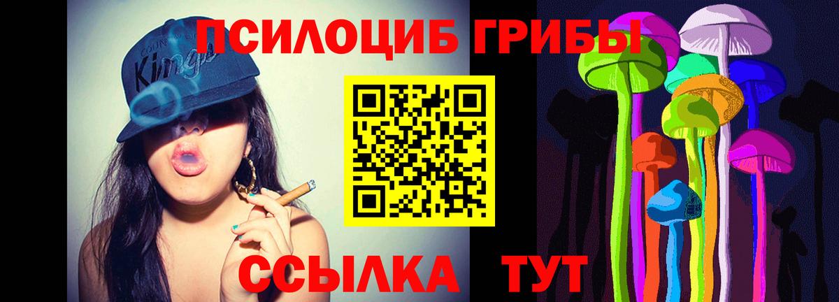 Галлюциногенные грибы Magic Shrooms Каспийск